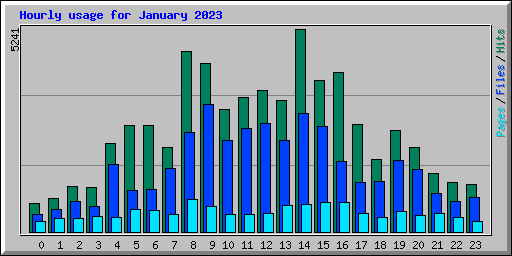 Hourly usage for January 2023
