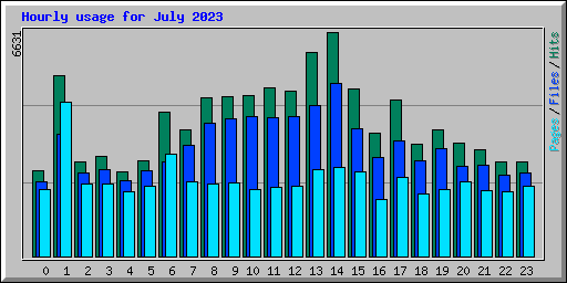 Hourly usage for July 2023