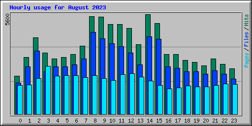 Hourly usage for August 2023