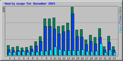 Hourly usage for December 2023