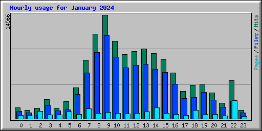 Hourly usage for January 2024