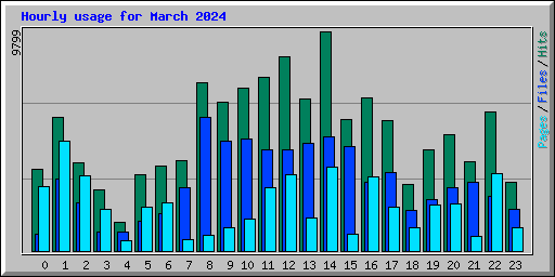 Hourly usage for March 2024