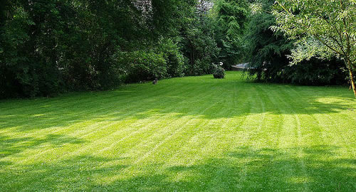 Mowing & Maintenance in Knoxville, TN